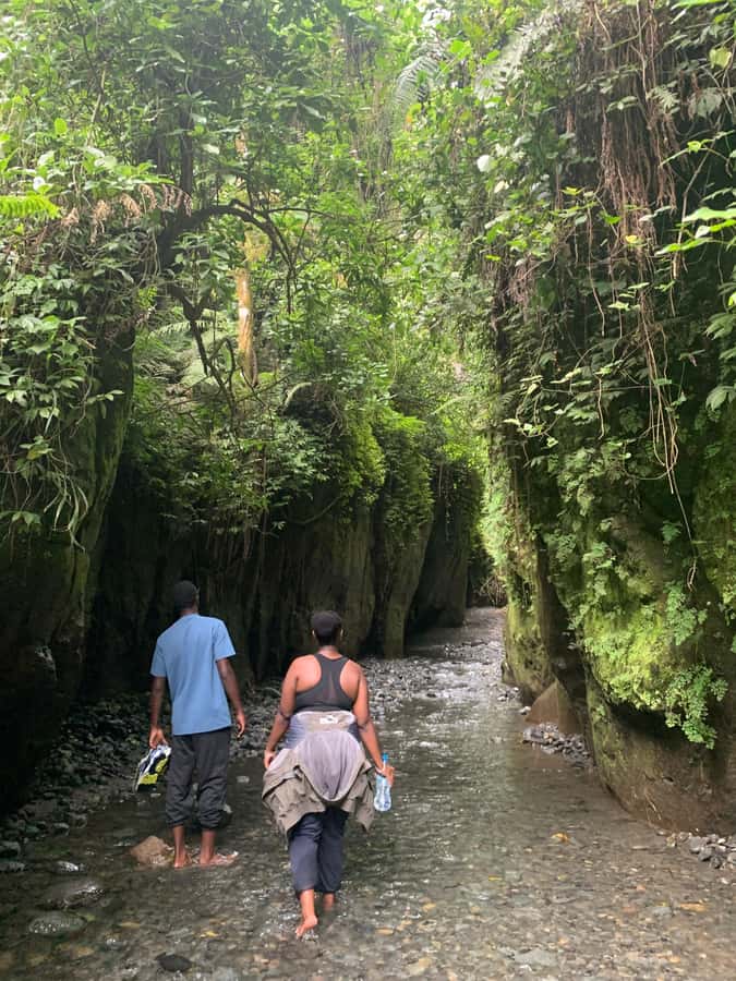 Mount Meru Arusha: Napuru Waterfall Hike by Kingstone Asilia - The first descent through rainforest