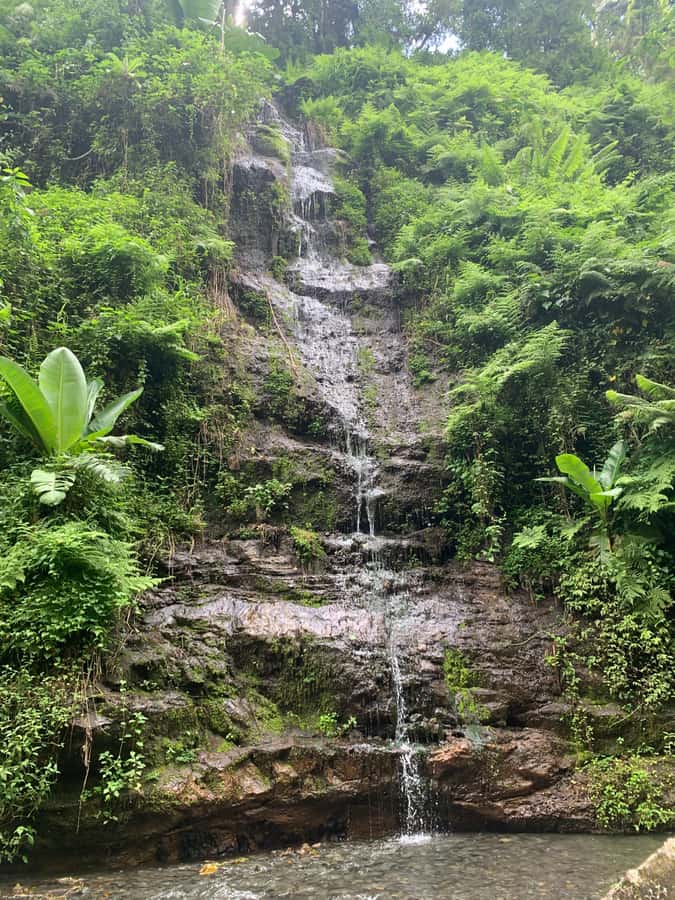 Mount Meru Arusha: Napuru Waterfall Hike by Kingstone Asilia - Arriving at the 78-metre Napuru Waterfall