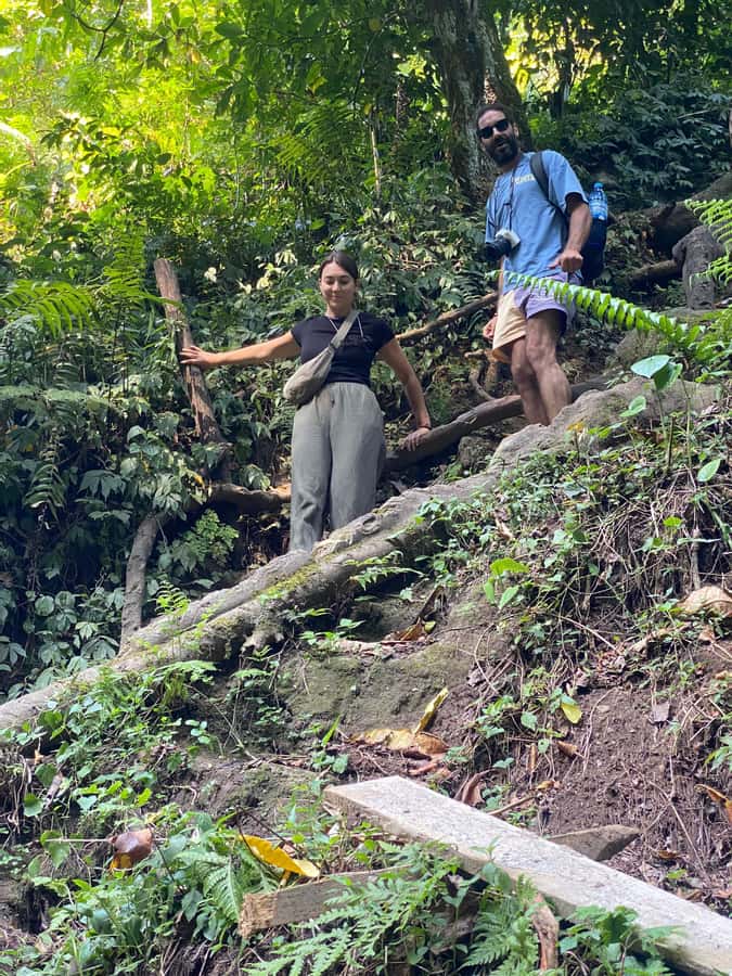 Mount Meru Arusha: Napuru Waterfall Hike by Kingstone Asilia - Coffee from the Kingstone Asilia farm