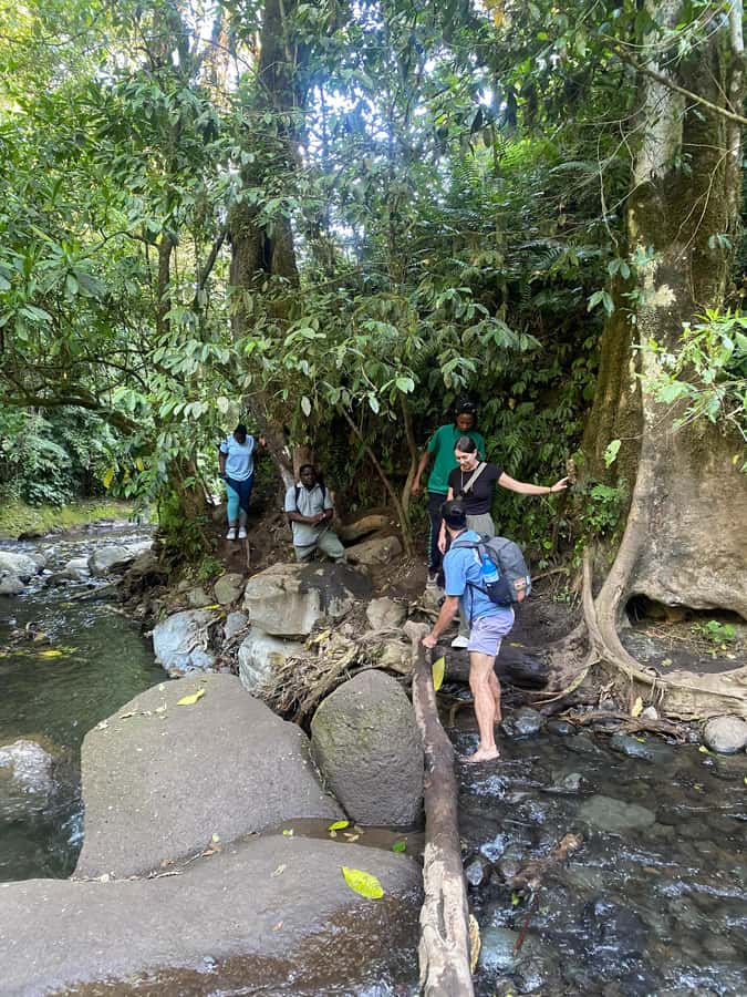 Mount Meru Arusha: Napuru Waterfall Hike by Kingstone Asilia - Lunch, the return climb, and the trip home