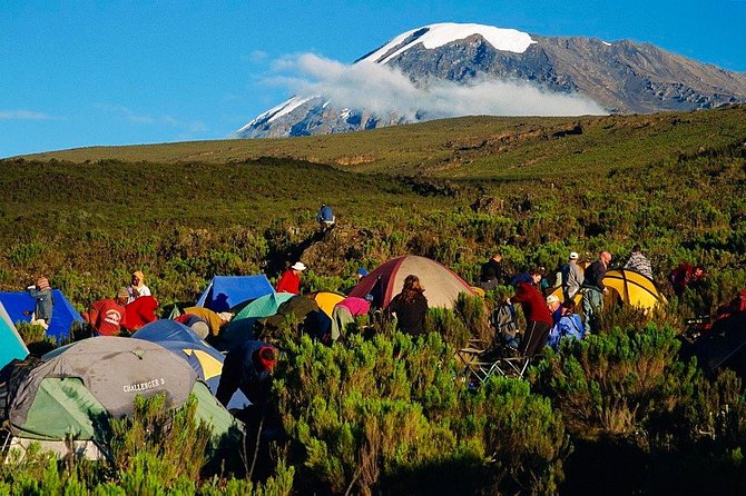 Mountain Kilimanjaro Climbing 7 Days Machame Route - Key points at a glance