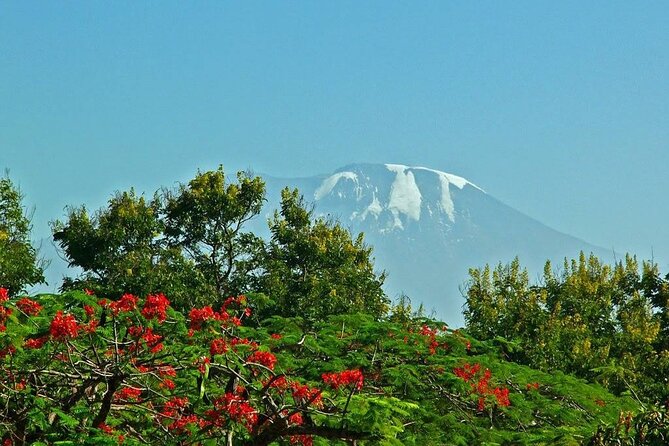 Mountain Kilimanjaro Climbing 8 Days Lemosho Route - Why eight days on Lemosho makes sense