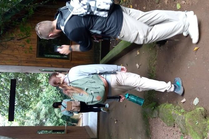 Mountain Kilimanjaro Day Hike - Reaching Mandara Hut and turning around