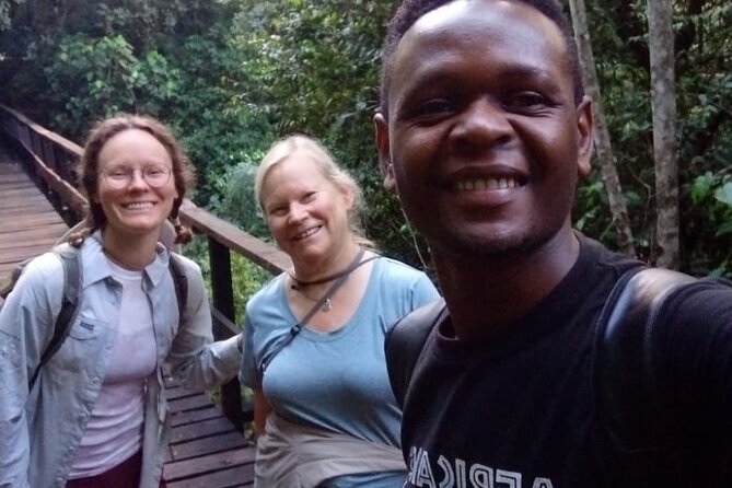 Mountain Kilimanjaro Day Hike - Who should choose this Kilimanjaro day hike?
