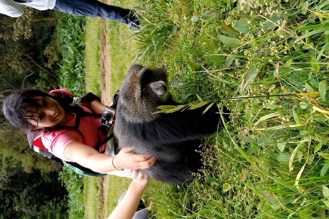 Mountain Kilimanjaro Day Hike - The rainforest section is the real heart of the hike