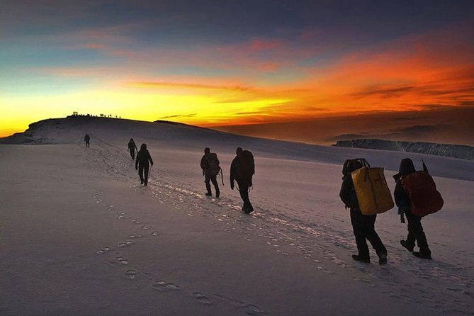 Mt Kilimanjaro 360° Trek with Once-in-a-Lifetime Crater Camping - Why the Northern Circuit earns its 10 days