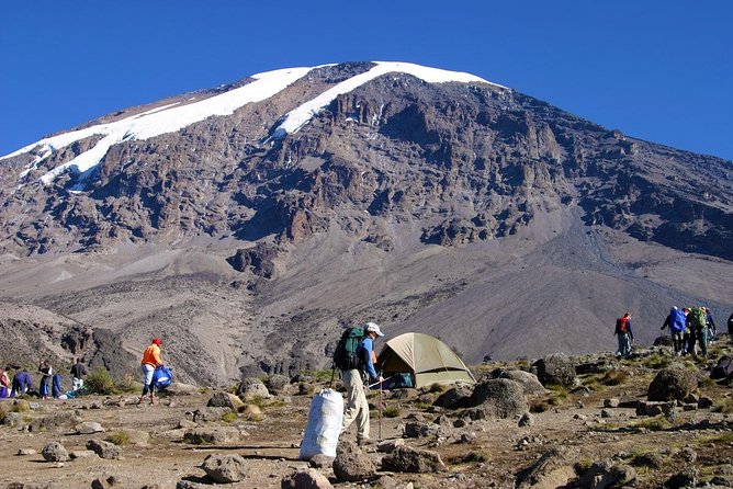 Mt Kilimanjaro 360° Trek with Once-in-a-Lifetime Crater Camping - Day 4: Lava Tower, the Shark’s Tooth, and Barranco
