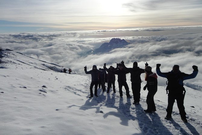 Mt Kilimanjaro 360° Trek with Once-in-a-Lifetime Crater Camping - Day 1: Mti Mkubwa Camp and the wet rainforest