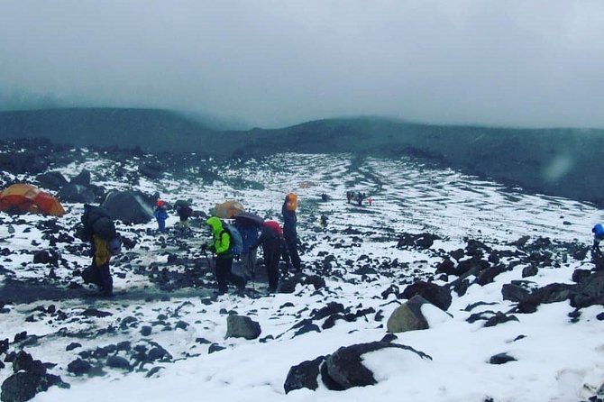 Mt Kilimanjaro 6 days Marangu route hike - Day 5: Gilman’s Point, Uhuru Peak, and the long descent