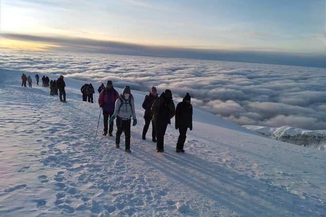 Mt Kilimanjaro Climb - 6 days Marangu - Key points to know before booking
