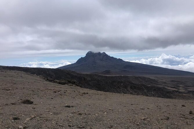 Mt Kilimanjaro Climb - 6 days Marangu - Day 1: Marangu Gate to Mandara Hut through rainforest