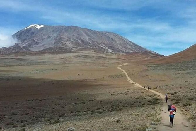 Mt Kilimanjaro Climb - 8 days Lemosho - Day 2: Big Tree Camp to Shira Camp 1