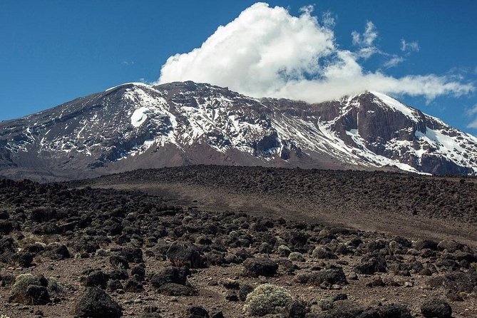 Mt Kilimanjaro Climbing; 6 Days Machame route - Day two: Shira Camp and the open moorland