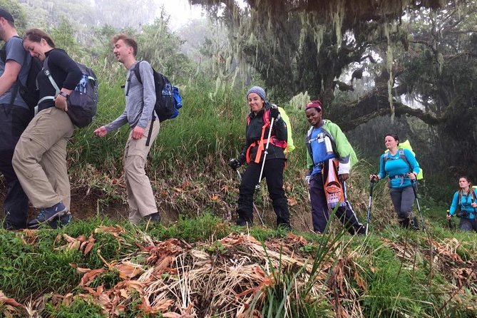 Mt Kilimanjaro Climbing; 6 Days Machame route - Day one: rainforest from Machame Gate