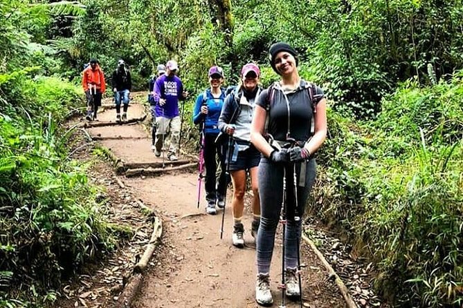 Mt Kilimanjaro Day Hike - Key points to know before booking