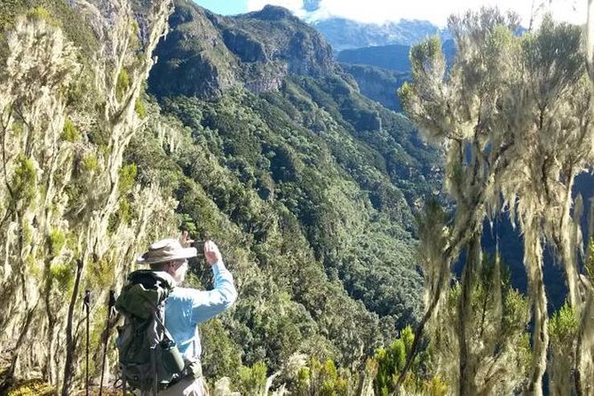 Mt Kilimanjaro Day Hike - Entering the rainforest at 1,800 meters