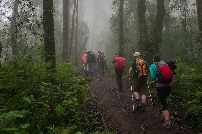 Mt Kilimanjaro Day Hike - The drive from Moshi to Marangu Gate