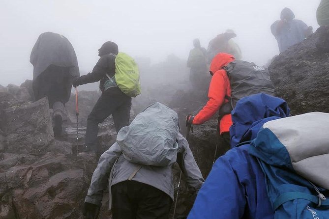 Mt. Kilimanjaro Day Hiking - Key points to know before you book