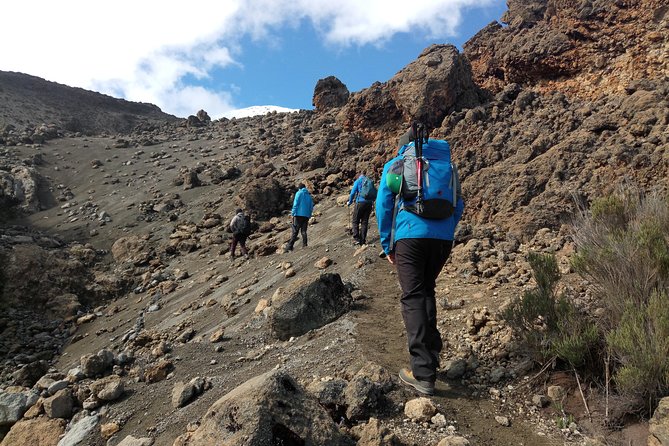 Mt. Kilimanjaro Day Hiking - Who will enjoy this hike most