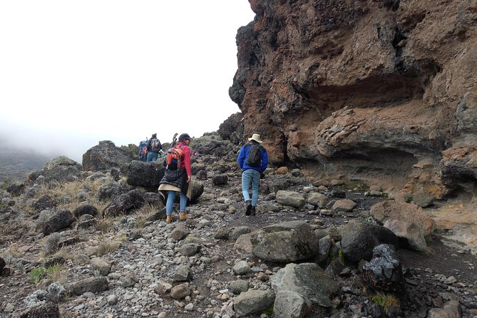 Mt. Kilimanjaro Day Hiking - Marangu Gate and the first climb