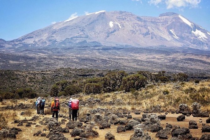 Mt.kilimanjaro Lemosho Route - Day 4: Barranco Wall and the approach to Karanga