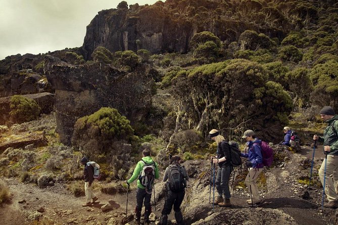 Mt.kilimanjaro-machame Route - Why the Six-Day Machame Route Works