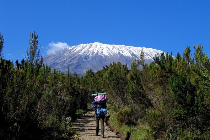 Mt.kilimanjaro-machame Route - Day 1: Machame Gate to Machame Camp