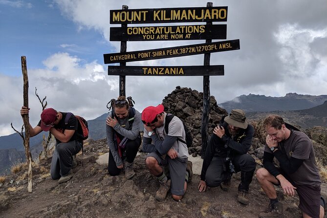 Mt. Kilimanjaro: Shira plateau to Cathedral point 3872m Day hike - Montane forest, monkeys, and mountain birds