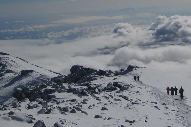 Mt Kilimanjaro Trek, 6 Days - Umbwe Route - What the $2,260 price really covers