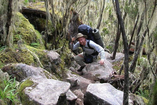 Mt Kilimanjaro Trek, 6 Days - Umbwe Route - Day 3: The Barranco Wall and Karanga Valley