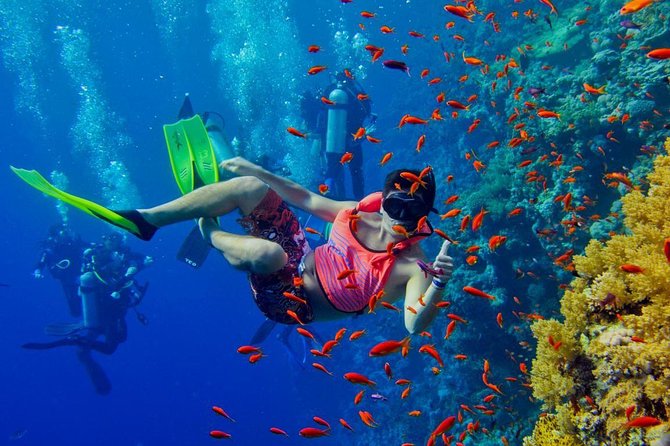 Nakupenda Island Snorkeling Sea trip & Lunch W/Transfer -Zanzibar - Prison Island and the former quarantine zone