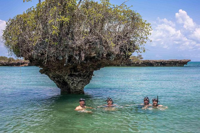 Nakupenda Island Snorkeling Sea trip & Lunch W/Transfer -Zanzibar - What the $48 price really covers