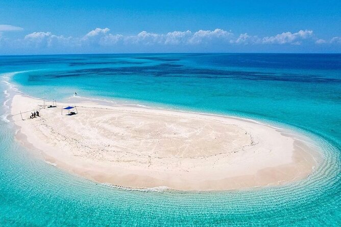 Nakupenda SandBank & Prison Island (Changuu Island) - Is $250 per person fair value?