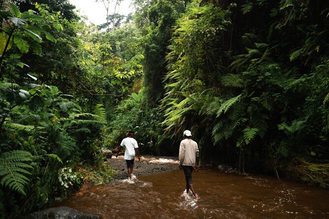 Napuru Waterfalls - The confusing second-day information
