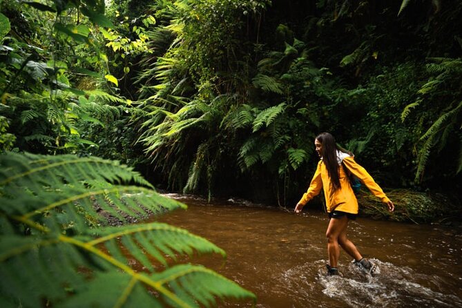 Napuru Waterfalls - The morning drive from Arusha