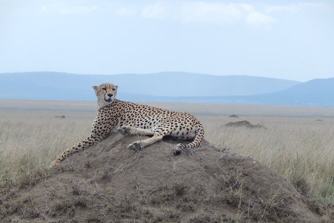 Ngorongoro Adventure Day Tour from Arusha - Descending 2,000 feet into the crater