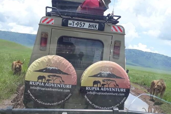 Ngorongoro Crater Day Trip - Why Ngorongoro Crater makes sense for a one-day safari