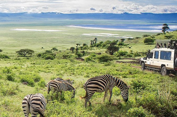 Ngorongoro Crater Exclusive: A Journey into Africa’s Eden - The private vehicle and guide arrangement