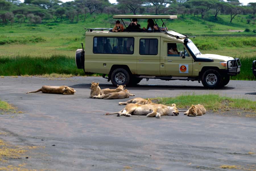 Ngorongoro Crater: Full-Day Safari Tour - What happens at the crater rim