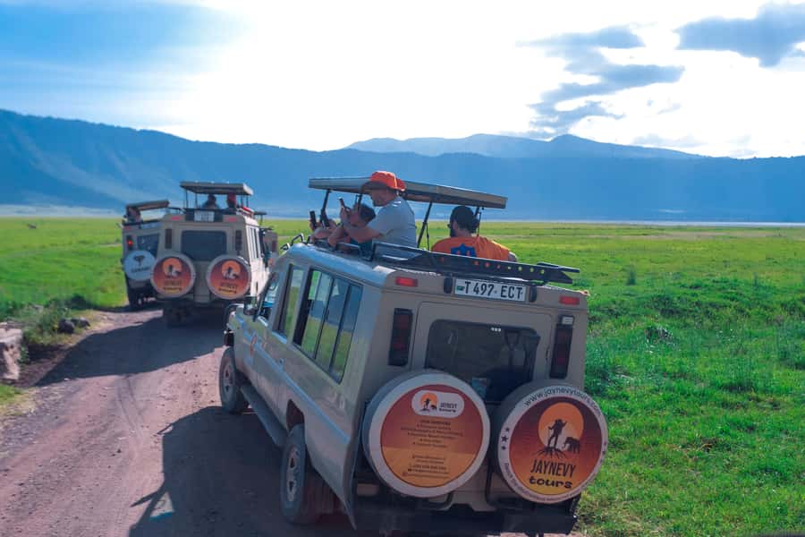 Ngorongoro Crater: Full-Day Safari Tour - Lunch, water, and the $291 price