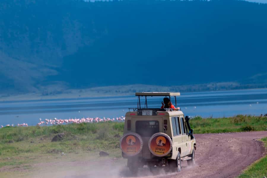 Ngorongoro Crater: Full-Day Safari Tour - Who will enjoy this safari most