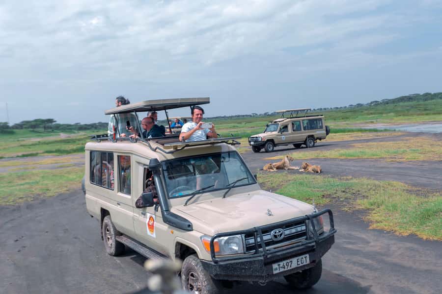 Ngorongoro Crater: Full-Day Safari Tour - Lions, Rhinos, and the Big Five