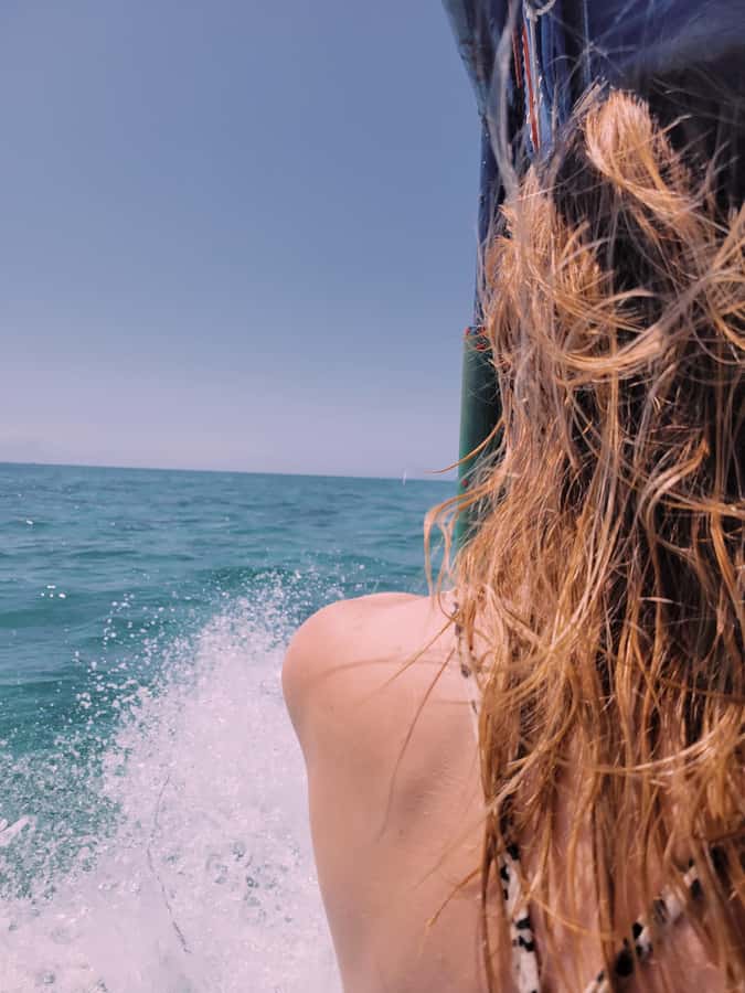 Nungwi: Dolphins,snokerlling &/or sunset cruising tour - Dolphins set the tone near Kizimkazi