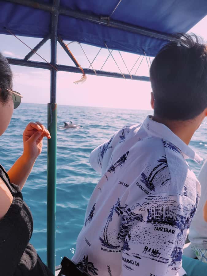 Nungwi: Dolphins,snokerlling &/or sunset cruising tour - What the $30 price really covers
