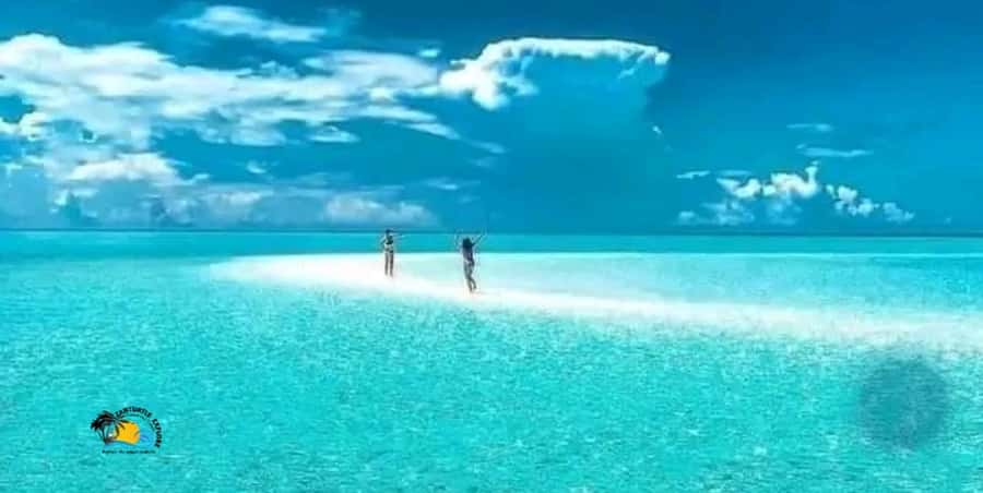 Nungwi: Mnemba Atoll Dolphins Tour with Snacks | Half-day - What the $57 price really covers