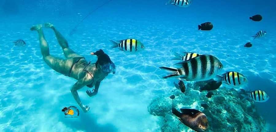 Nungwi: Mnemba Atoll Dolphins Tour with Snacks | Half-day - The disappearing sandbank and its timing problem
