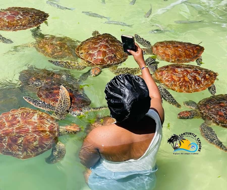 Nungwi: Swimming with Turtles at The Lagoons Zanzibar - Hotel pickup makes the two-hour plan easy