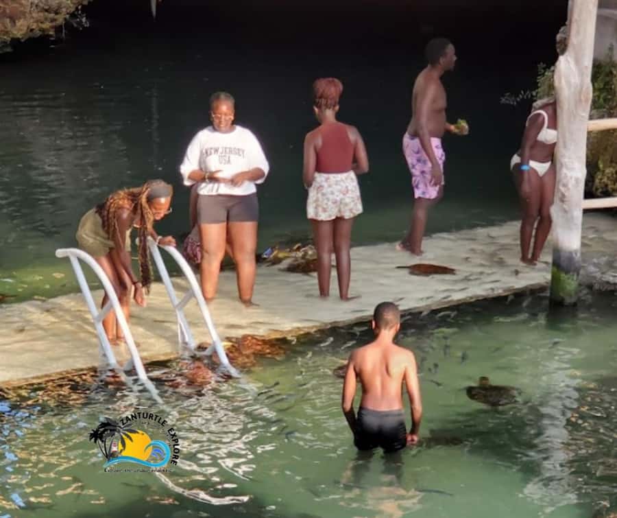 Nungwi: Swimming with Turtles at The Lagoons Zanzibar - Swimming and snorkeling in clear water