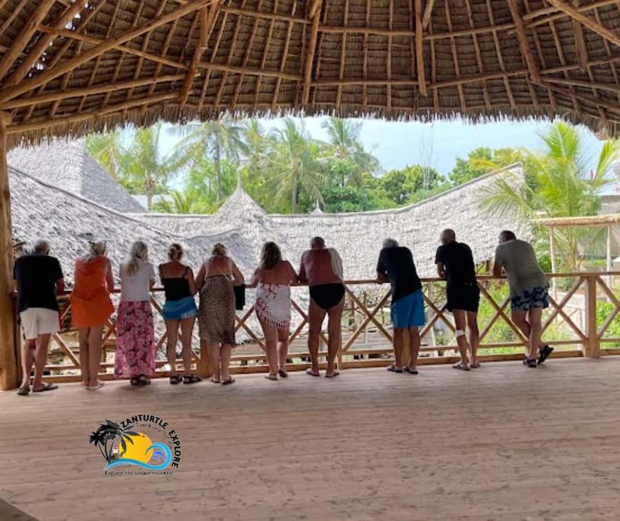 Nungwi: Swimming with Turtles at The Lagoons Zanzibar - What the conservation work means