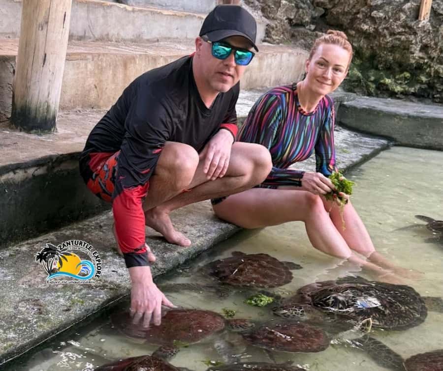 Nungwi: Swimming with Turtles at The Lagoons Zanzibar - Photos, showers, and the practical details
